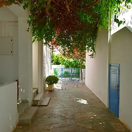 Ayeri Parikia (Paros)
